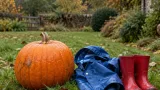 Prince William and Kate share first Halloween post with photo of Prince Louis