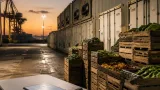Investigation finds FDA rarely inspects foreign produce facilities that supply most U.S. fruit and vegetables