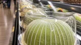 Trader Joe’s brings Swedish princess cake to freezers as a seasonal find
