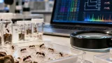 ‘Jumping genes’ may have aided ants’ rise after dinosaur extinction, study finds
